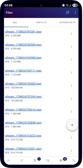 allgram Files